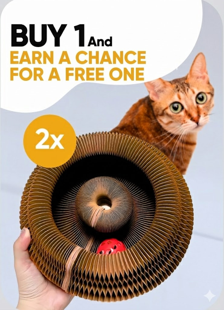 Cat Scratching Board